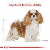 Royal Canin Cavalier King Charles Adult 1.5 Kg - 5