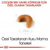 Royal Canin Cocker Junior 3 Kg. - 3