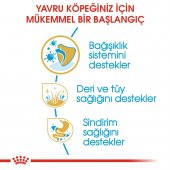 Royal Canin Cocker Junior 3 Kg. - 5