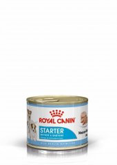 Royal Canin Starter Anne ve Yavru Köpek Konservesi 195 Gr - 1
