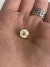 Sülün Resimli Damla Düğme 11mm 10 Adet - 2