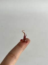 El Yapımı Mini Murano Cam Balık Biblo A95-01 thumbnail 2