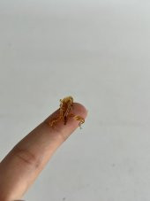 El Yapımı Mini Murano Cam Istakoz Biblo A99-01 thumbnail 2