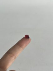 El Yapımı Mini Murano Cam Uğur Böceği Biblo A105-03 thumbnail 2