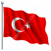 Türk Bayrağı - 1
