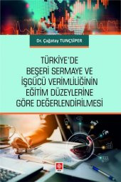 Türkiyede Beşeri Sermaye ve İşgücü Verimliliğinin Eğitim Düzeylerine Göre Değerlendirilmesi Çağatay Tunçsiper - 1