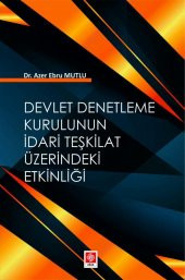 Devlet Denetleme Kurulunun İdari Teşkilat Üzerindeki Etkinliği Azer Ebru Mutlu - 1