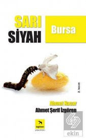 Sarı Siyah Bursa - 1