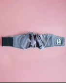 Köpek Çiş Bel Bandı Yıkanabilir Sızdırmaz Köpek Kıyafeti - 6