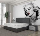 Iyon Sandıklı Baza Başlık Set 100x200 thumbnail 1