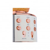 SubZero TV50 Mikrofonlu Hoparlörlü Bluetooth /TF Kart/USB Destekli Karaoke - 2