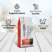 DogPlus Kuzu Etli Pirinçli Yavru Köpek Maması 3 Kg x 2 Adet - 3