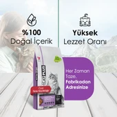 CatPlus Düşük Tahıllı Hipoalerjenik Tavuklu Hamsili Kısırlaştırılmış Kedi Maması 15 Kg - 3