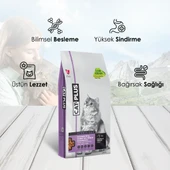 CatPlus Düşük Tahıllı Hipoalerjenik Tavuklu Hamsili Kısırlaştırılmış Kedi Maması 15 Kg - 4