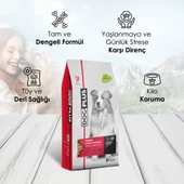 DogPlus Düşük Tahıllı Hipoalerjenik Kuzu Etli Pirinçli Yetişkin Köpek Maması 3 Kg - 4