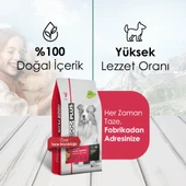 DogPlus Düşük Tahıllı Hipoalerjenik Kuzu Etli Pirinçli Yetişkin Köpek Maması 3 Kg - 3