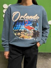 Flamingo Baskılı Şardonlu Sweatshirt - 2