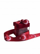 Ayyıldızlı Bayrak Kurdelası 2cm 20mt - 3