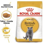 Royal Canin British Shorthair Yetişkin Kuru Kedi Maması 10 Kg - 2