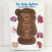 Moon Beavers Vücudumuz Sistemleri - Kız Eğitici Öğretici Geliştirici Boyanabilir Ahşap Sağlıklı Oyuncak - 3