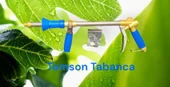 TOMSON MODELİ İLAÇLAMA TABANCASI - 2