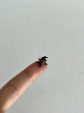 El Yapımı Mini Murano Cam Penguen Biblo A133-06 thumbnail 2