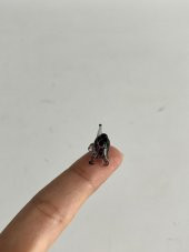 El Yapımı Mini Murano Cam Köpek Biblo A111-05 thumbnail 2