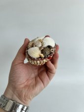 Deniz Kabuğu Kaplamalı Kutu 8x6x4cm - Mücevher Takı Kutusu - 7