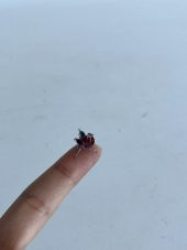 El Yapımı Mini Murano Cam Flamingo Biblo A120-02 thumbnail 2