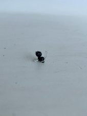 El Yapımı Mini Murano Cam Kedi Biblo A120-05 - 3