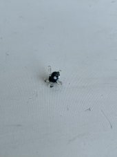 El Yapımı Mini Murano Cam Kedi Biblo A120-05 - 4