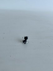 El Yapımı Mini Murano Cam Kedi Biblo A120-05 - 5