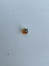 El Yapımı Mini Murano Cam Salyangoz Biblo A123-06 thumbnail 3