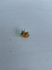 El Yapımı Mini Murano Cam Salyangoz Biblo A123-06 thumbnail 5