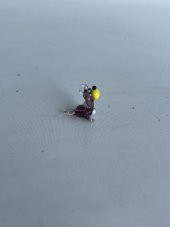 El Yapımı Mini Murano Cam Köpek Biblo A124-01 thumbnail 4