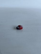 El Yapımı Mini Murano Cam Uğur Böceği Biblo A124-05 thumbnail 5
