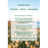 İnce Telli Saçlar İçin (Volume) Hacim Veren Şampuan - Sülfatsız & Vegan-300 ml - 3