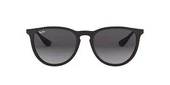 Ray-Ban RB4171 622/8G 54-18 Unisex Güneş Gözlüğü thumbnail 1