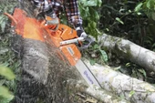 Husqvarna 365 Benzinli Motorlu Testere - 3