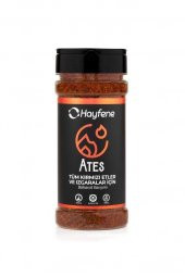 Hayfene Ateş Baharatı (Elementler) 100 g e ST00211 - 1