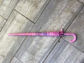 DZC KUZENLER AVM ÇOCUK PVC KILIFLI DİSNEY PRENSESLER OTOMATİK PEMBE KIZ ÇOCUK ŞEMSİYE - 4