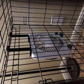 Köpek Köpek Kulübesi Fan Montaj Braketi Plastik Aparat - 1