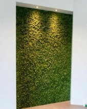 10 ADET Yapay Bitki Duvar Kaplama Panel Şimşir Tabaka 40x60 Cm Yeşil Dikey Bahçe - 2