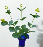 Dekoratif  Okaliptus Tek Dal 35 CM  Yapay Çiçek - 3