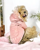 Pink Comfy Köpek Montu, Köpek Ceketi, Köpek Dış Giyim thumbnail 1