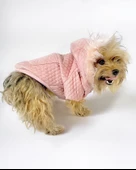 Pink Comfy Köpek Montu, Köpek Ceketi, Köpek Dış Giyim thumbnail 2
