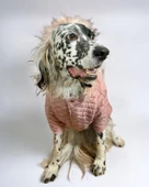 Pink Comfly Köpek Montu, Orta ve Büyük Irklar için thumbnail 2