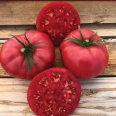 Henderson Pink Pembe Domates Tohumu (15 tohum) - 2