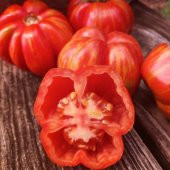 Striped Cavern Çizgili Domates Tohumu (15 tohum) - 2