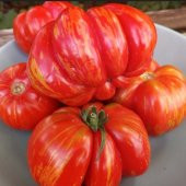 Striped Cavern Çizgili Domates Tohumu (15 tohum) - 4